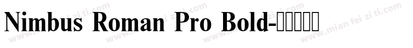 Nimbus Roman Pro Bold字体转换